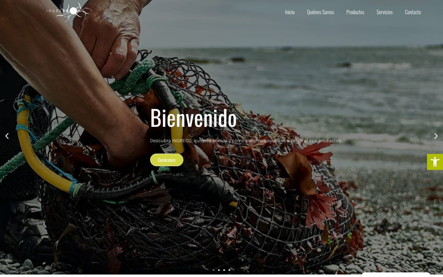 Screenshot of the Ingreco – Innovative Solutions in the Food Industry website homepage