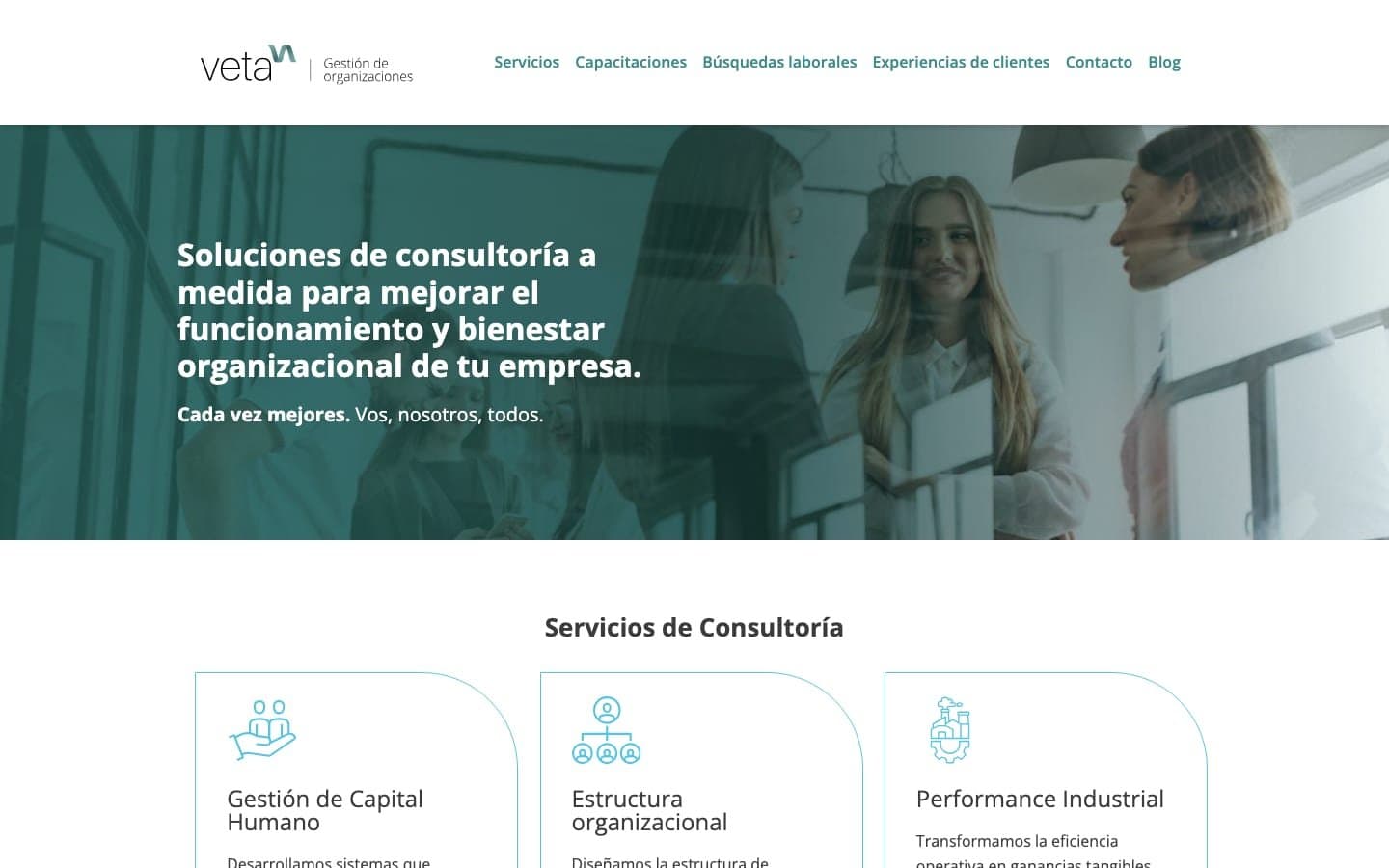 Screenshot of the Veta Go – Organizational Consulting Website website homepage
